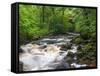 Ingleton Waterfalls, River Twiss, Ingleton, Yorkshire Dales, Yorkshire, England, UK, Europe-Chris Hepburn-Framed Stretched Canvas