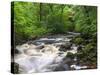 Ingleton Waterfalls, River Twiss, Ingleton, Yorkshire Dales, Yorkshire, England, UK, Europe-Chris Hepburn-Stretched Canvas