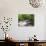 Ingleton Waterfalls, River Twiss, Ingleton, Yorkshire Dales, Yorkshire, England, UK, Europe-Chris Hepburn-Photographic Print displayed on a wall