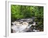 Ingleton Waterfalls, River Twiss, Ingleton, Yorkshire Dales, Yorkshire, England, UK, Europe-Chris Hepburn-Framed Photographic Print