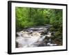 Ingleton Waterfalls, River Twiss, Ingleton, Yorkshire Dales, Yorkshire, England, UK, Europe-Chris Hepburn-Framed Photographic Print