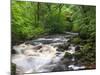 Ingleton Waterfalls, River Twiss, Ingleton, Yorkshire Dales, Yorkshire, England, UK, Europe-Chris Hepburn-Mounted Photographic Print