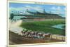 Inglewood, California - Hollywood Turf Club View of a Horse Race-Lantern Press-Mounted Premium Giclee Print