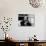 Ingmar Bergman Sitting Down-null-Photographic Print displayed on a wall