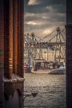 Germany, Hamburg, Elbe, Harbor, St. Pauli, Fish Market, Great Place, Container Terminal-Ingo Boelter-Photographic Print