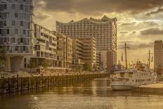 Germany, Hamburg, Elbe, Harbor, St. Pauli, Fish Market, Great Place, Container Terminal-Ingo Boelter-Photographic Print