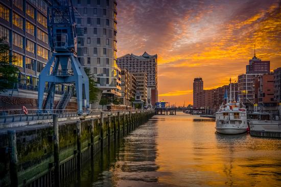 Premium Photographic Print, , large