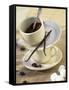 Ingredients for a Cafe Chocolat with Vanilla-Jocelyn Demeurs-Framed Stretched Canvas