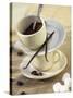 Ingredients for a Cafe Chocolat with Vanilla-Jocelyn Demeurs-Stretched Canvas