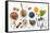 Ingredients for A Healthy Foods Background, Nuts, Honey, Berries, Fruits, Blueberry, Orange, Almond-Kerdkanno-Framed Stretched Canvas