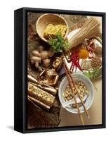 Ingredients for Cooking Thai Food-Erika Craddock-Framed Stretched Canvas