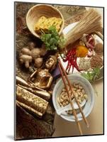 Ingredients for Cooking Thai Food-Erika Craddock-Mounted Photographic Print