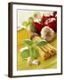 Ingredients for Italian Pasta Dish-null-Framed Photographic Print