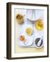 Ingredients for Mustard Mayonnaise-Nikolai Buroh-Framed Photographic Print