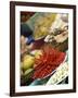 Ingredients for Restaurant Display, Dali, Yunnan, China-Porteous Rod-Framed Photographic Print