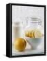 Ingredients for Salt-Pickled Lemons-Danya Weiner-Framed Stretched Canvas