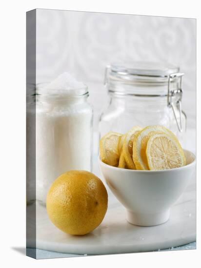 Ingredients for Salt-Pickled Lemons-Danya Weiner-Stretched Canvas