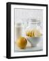 Ingredients for Salt-Pickled Lemons-Danya Weiner-Framed Premium Photographic Print