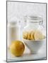 Ingredients for Salt-Pickled Lemons-Danya Weiner-Mounted Premium Photographic Print