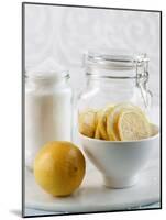 Ingredients for Salt-Pickled Lemons-Danya Weiner-Mounted Photographic Print