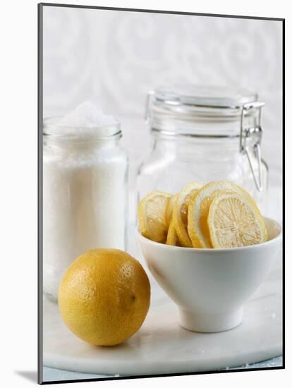 Ingredients for Salt-Pickled Lemons-Danya Weiner-Mounted Photographic Print