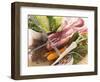 Ingredients for Stew: Pork, Vegetables, Lentils and Savoy Cabbage-Eising Studio - Food Photo and Video-Framed Photographic Print