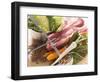 Ingredients for Stew: Pork, Vegetables, Lentils and Savoy Cabbage-Eising Studio - Food Photo and Video-Framed Photographic Print
