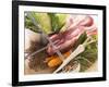 Ingredients for Stew: Pork, Vegetables, Lentils and Savoy Cabbage-Eising Studio - Food Photo and Video-Framed Photographic Print