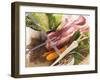 Ingredients for Stew: Pork, Vegetables, Lentils and Savoy Cabbage-Eising Studio - Food Photo and Video-Framed Photographic Print