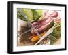 Ingredients for Stew: Pork, Vegetables, Lentils and Savoy Cabbage-Eising Studio - Food Photo and Video-Framed Photographic Print