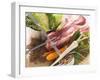 Ingredients for Stew: Pork, Vegetables, Lentils and Savoy Cabbage-Eising Studio - Food Photo and Video-Framed Photographic Print