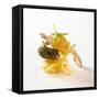 Ingredients for Tagliatelle with Mushrooms and Herbs-Jo Kirchherr-Framed Stretched Canvas