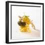Ingredients for Tagliatelle with Mushrooms and Herbs-Jo Kirchherr-Framed Photographic Print