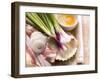 Ingredients for Tarte Flambée: Spring Onions, Bacon Slices, Yeast Dough, Egg-Eising Studio - Food Photo and Video-Framed Photographic Print