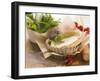 Ingredients for Tarts: Pastry Cases and Herbs-Eising Studio - Food Photo and Video-Framed Photographic Print