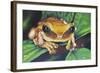 Inhabitant of Gu?eppi?-Luis Aguirre-Framed Giclee Print