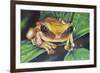 Inhabitant of Gu?eppi?-Luis Aguirre-Framed Giclee Print