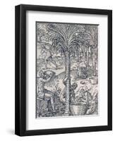 Inhabitants of Cape Verde Making Drinks from Palm Trees, Engraving from Universal Cosmology-Andre Thevet-Framed Premium Giclee Print