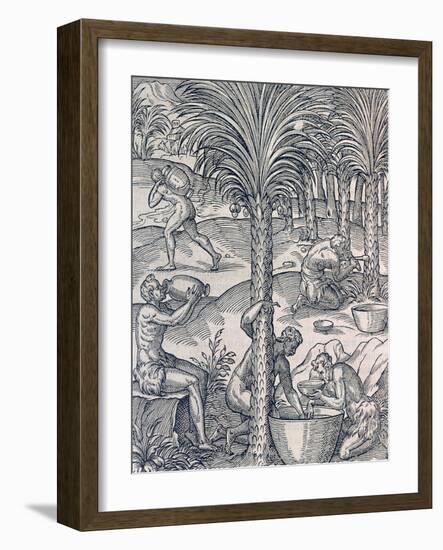 Inhabitants of Cape Verde Making Drinks from Palm Trees, Engraving from Universal Cosmology-Andre Thevet-Framed Giclee Print