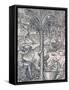 Inhabitants of Cape Verde Making Drinks from Palm Trees, Engraving from Universal Cosmology-Andre Thevet-Framed Stretched Canvas