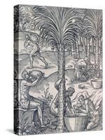 Inhabitants of Cape Verde Making Drinks from Palm Trees, Engraving from Universal Cosmology-Andre Thevet-Stretched Canvas