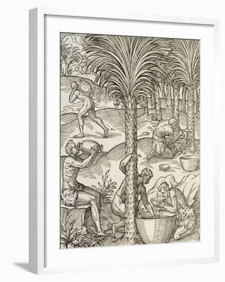 Inhabitants of Cape Verde Making Drinks from Palm Trees, Engraving from Universal Cosmology-Andre Thevet-Framed Giclee Print