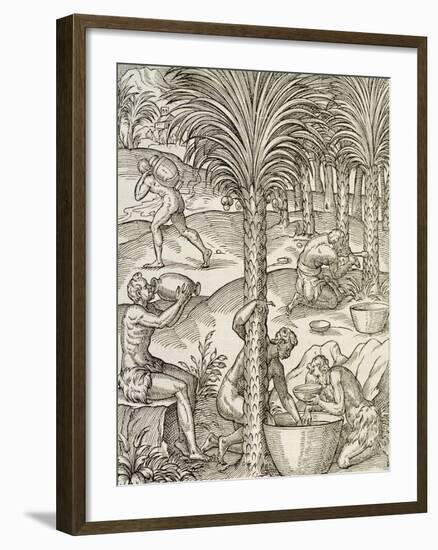 Inhabitants of Cape Verde Making Drinks from Palm Trees, Engraving from Universal Cosmology-Andre Thevet-Framed Giclee Print