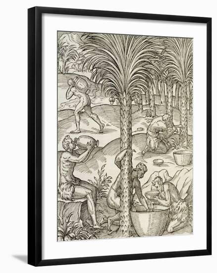 Inhabitants of Cape Verde Making Drinks from Palm Trees, Engraving from Universal Cosmology-Andre Thevet-Framed Giclee Print