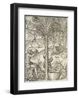 Inhabitants of Cape Verde Making Drinks from Palm Trees, Engraving from Universal Cosmology-Andre Thevet-Framed Premium Giclee Print