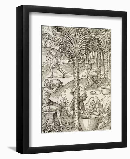 Inhabitants of Cape Verde Making Drinks from Palm Trees, Engraving from Universal Cosmology-Andre Thevet-Framed Premium Giclee Print