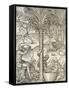 Inhabitants of Cape Verde Making Drinks from Palm Trees, Engraving from Universal Cosmology-Andre Thevet-Framed Stretched Canvas