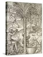 Inhabitants of Cape Verde Making Drinks from Palm Trees, Engraving from Universal Cosmology-Andre Thevet-Stretched Canvas