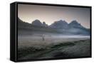 Canvas Black
