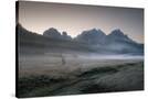 Stretched Canvas